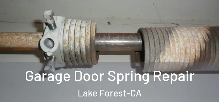 Garage Door Spring Repair Lake Forest-CA