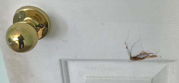 interior door hole repair Lake Forest