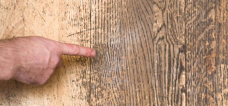 Wood Door Scratch Repair in Lake Forest
